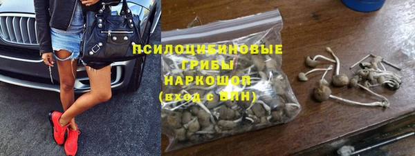 трава Кодинск