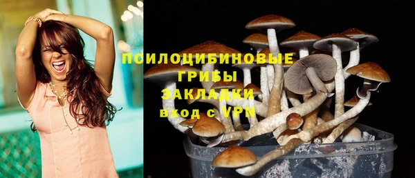 mdpv Болхов